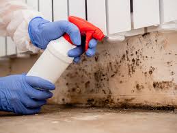 Muttontown, NY Mold Removal Company